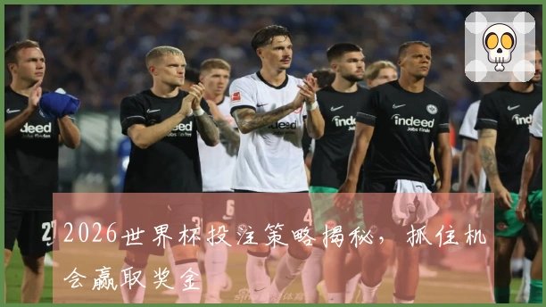 2026世界杯投注策略揭秘，抓住机会赢取奖金