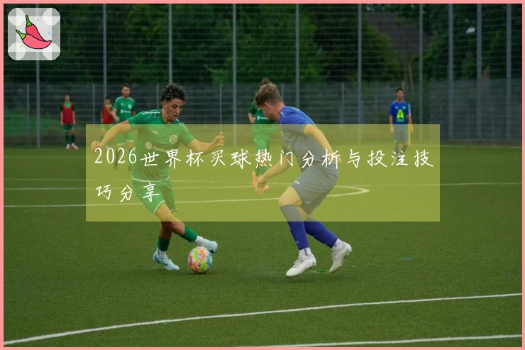 2026世界杯买球热门分析与投注技巧分享