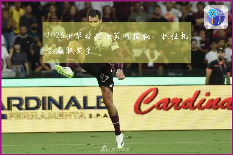 2026世界杯投注策略揭秘，抓住机会赢取奖金