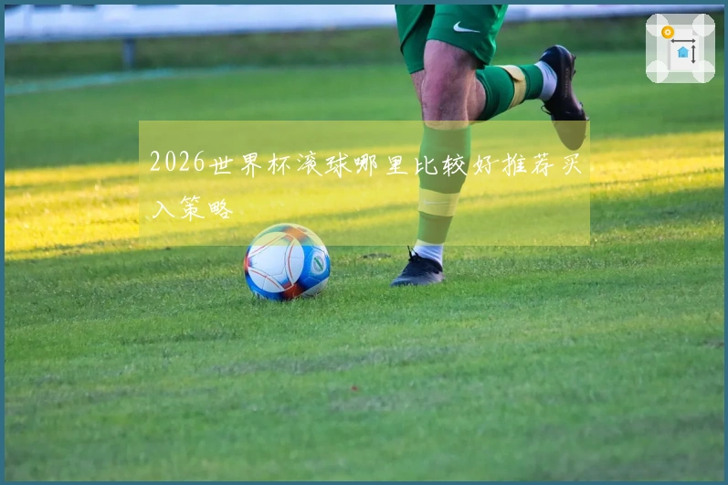 2026世界杯滚球哪里比较好推荐买入策略