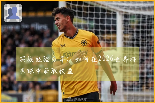 实战经验分享：如何在2026世界杯买球中获取收益