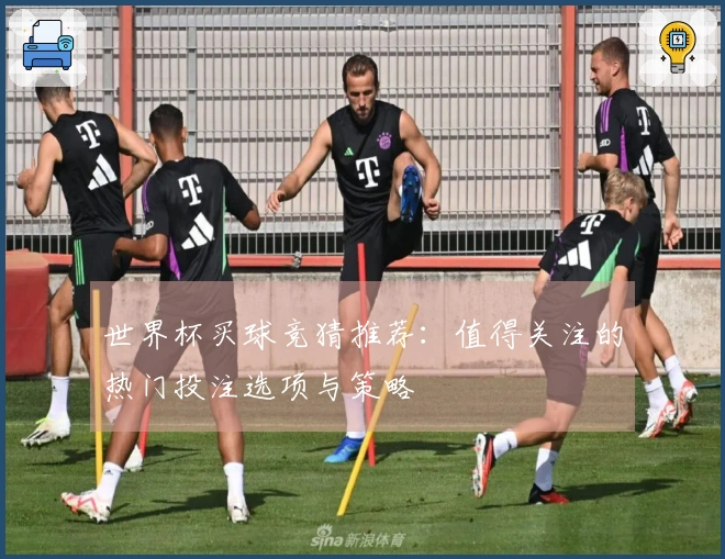 世界杯买球竞猜推荐：值得关注的热门投注选项与策略