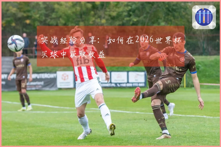 实战经验分享：如何在2026世界杯买球中获取收益
